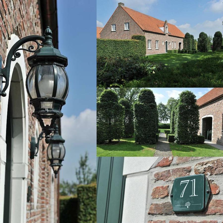 Villa71 Rijkevorsel Exteriör bild